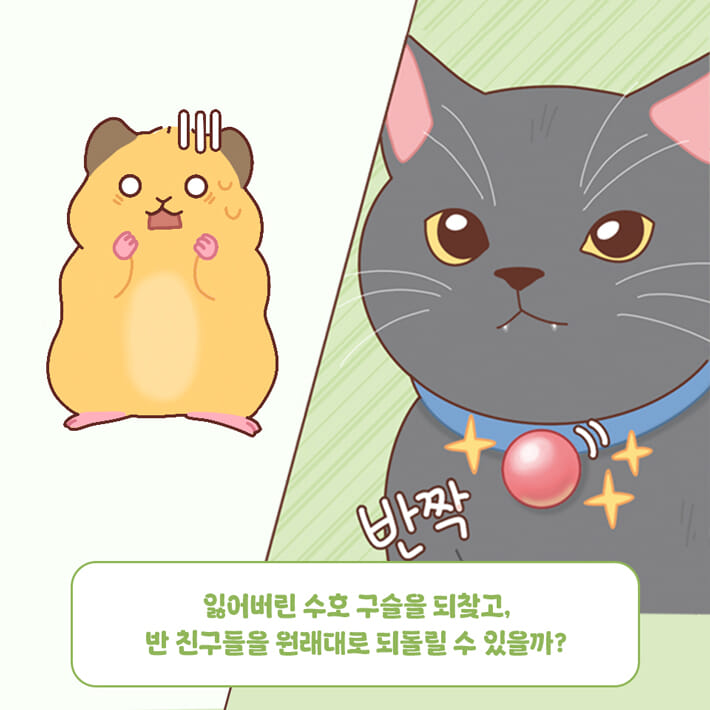 카드뉴스5