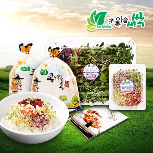 초록이슬새싹/비빔밥용 세트/총850g/새싹채소100g/어린잎채소250g/콩나물500g/새싹요리소책자