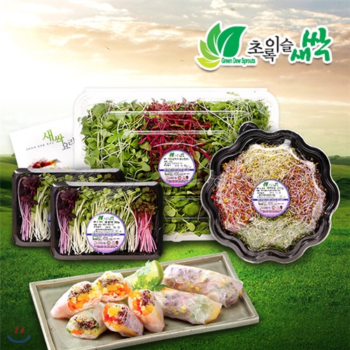 초록이슬새싹/월남쌈용 세트/총560g/새싹채소200g/어린잎채소300g/삼순이60g/새싹요리소책자