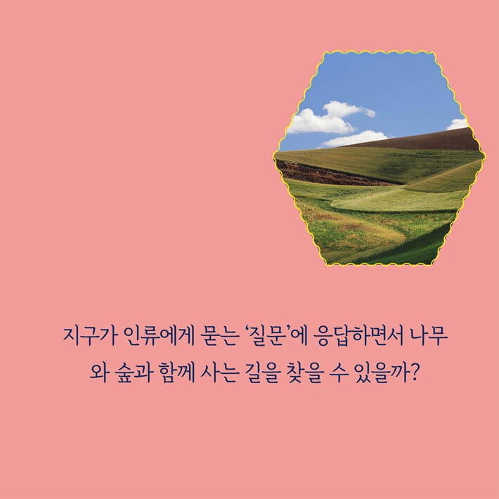 카드뉴스4