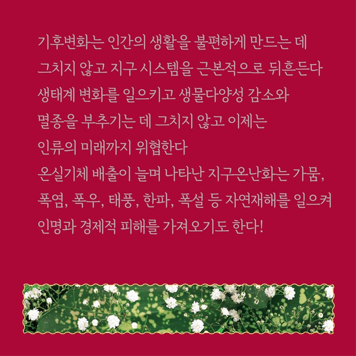 카드뉴스6