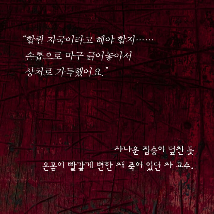 카드뉴스4