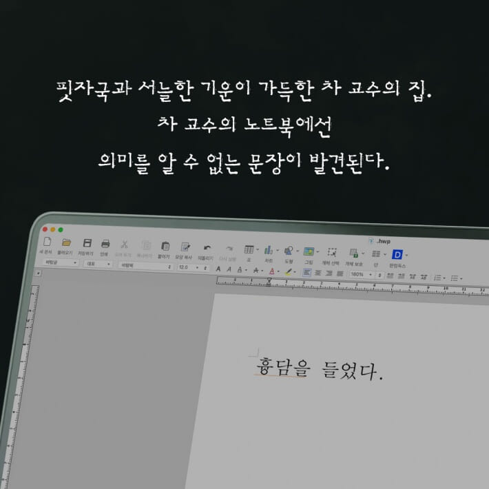 카드뉴스5