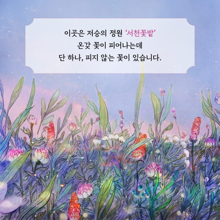 카드뉴스1