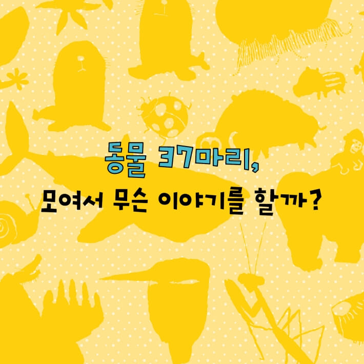카드뉴스1