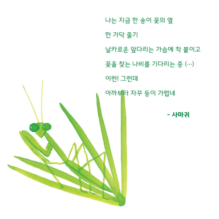 카드뉴스2