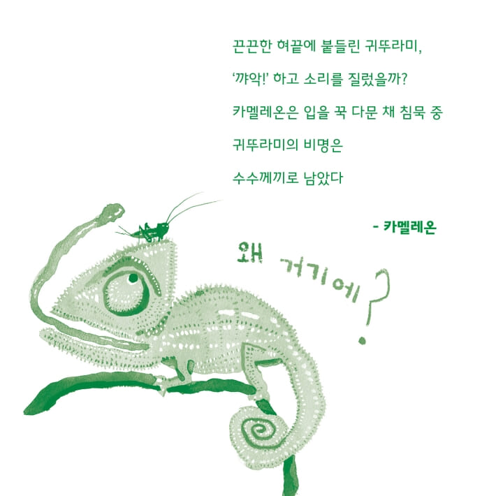카드뉴스3