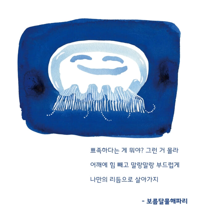 카드뉴스5