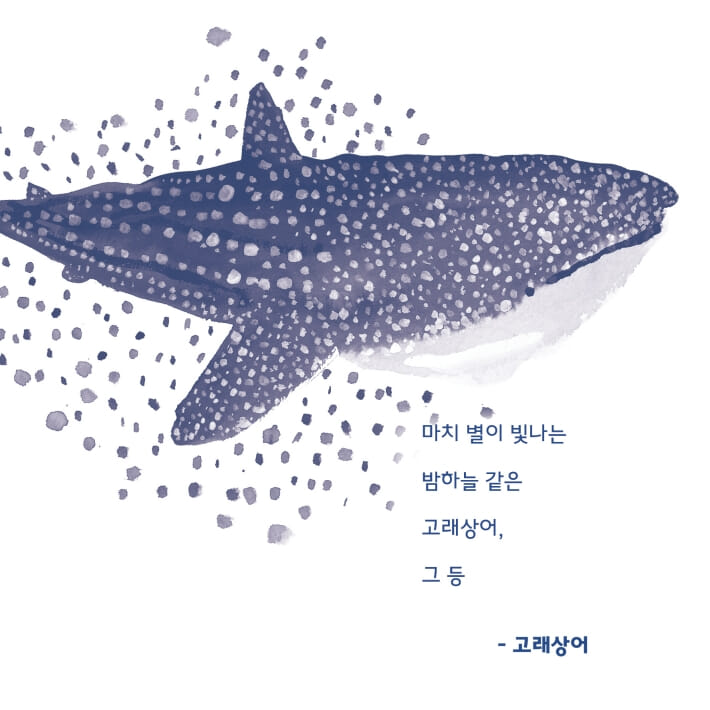 카드뉴스6
