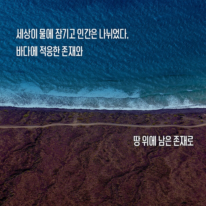카드뉴스2