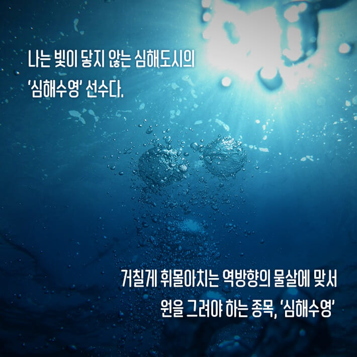카드뉴스3