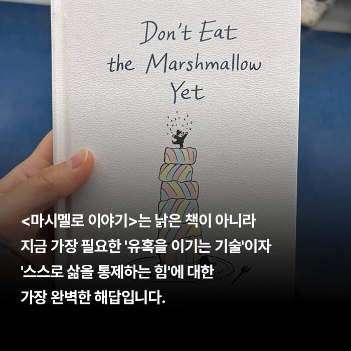 카드뉴스7