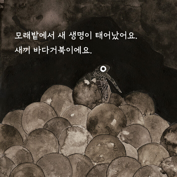 카드뉴스2