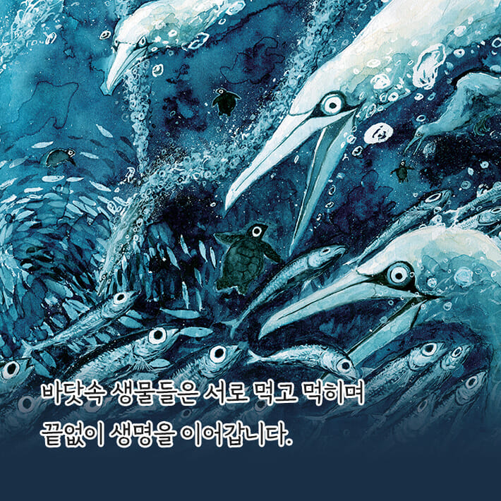 카드뉴스5