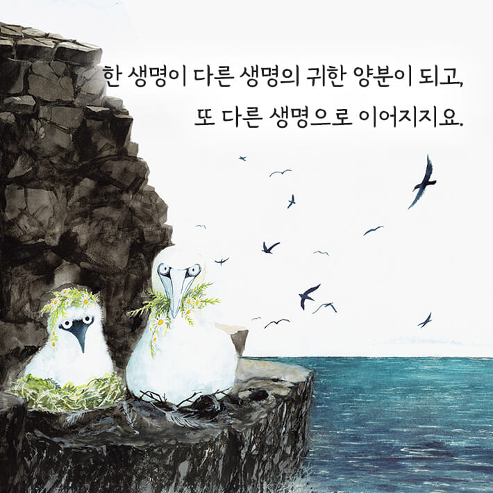 카드뉴스6