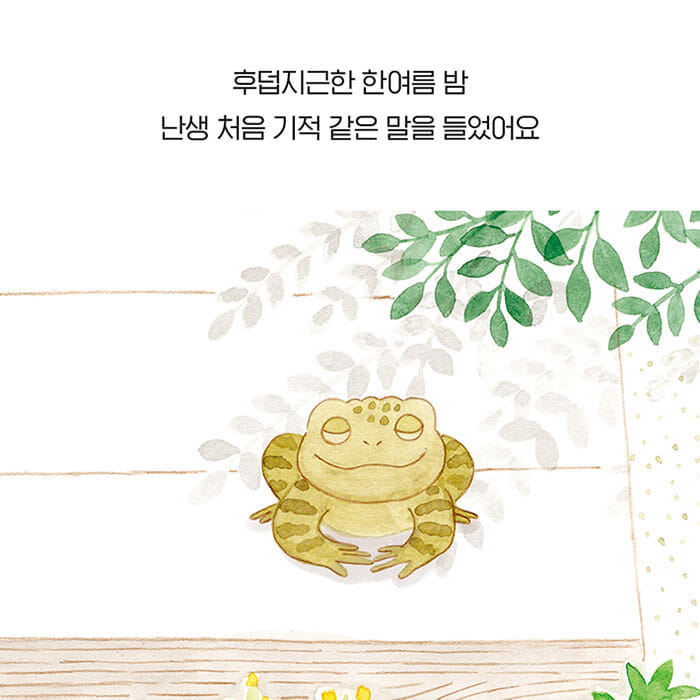 카드뉴스2