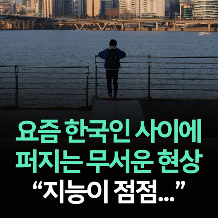 카드뉴스1