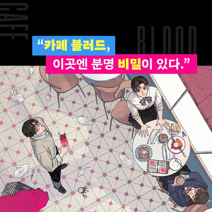 카드뉴스1