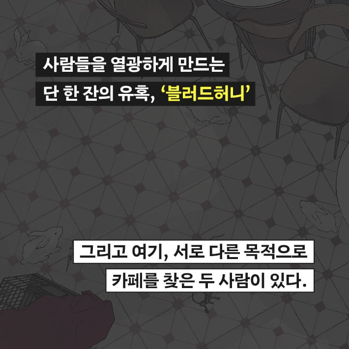 카드뉴스3