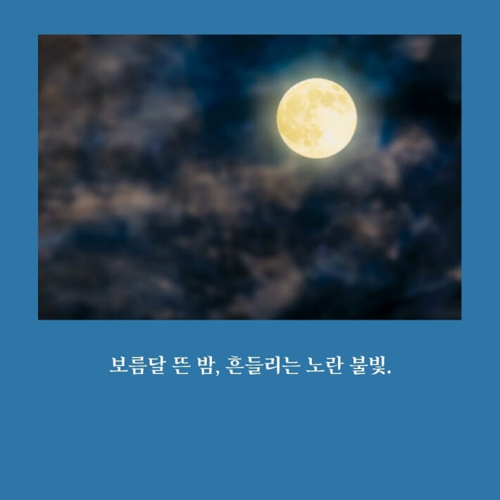 카드뉴스1