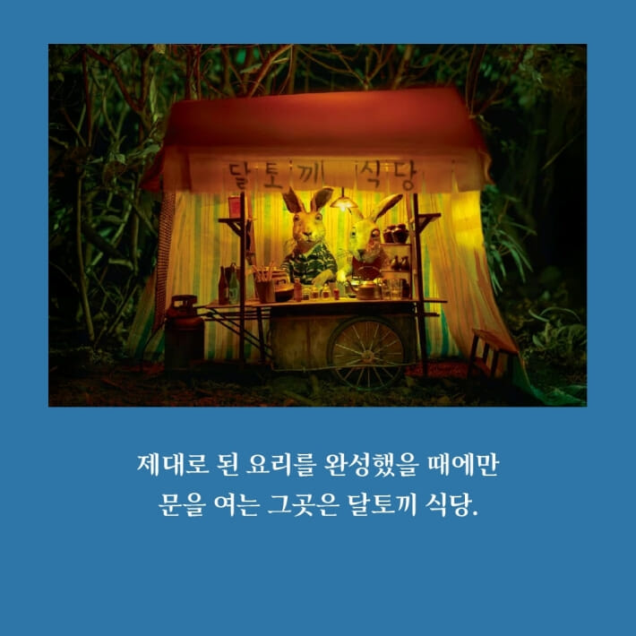 카드뉴스2