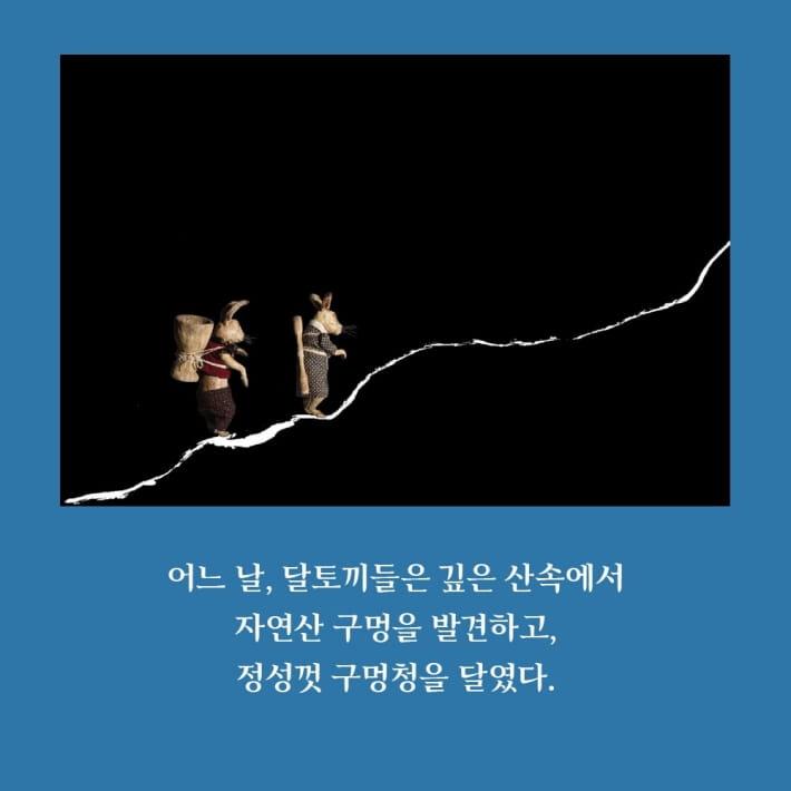 카드뉴스3