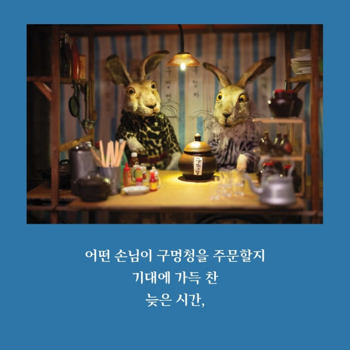 카드뉴스4