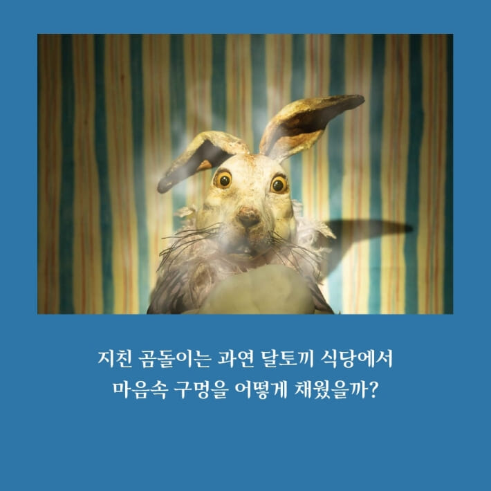 카드뉴스6