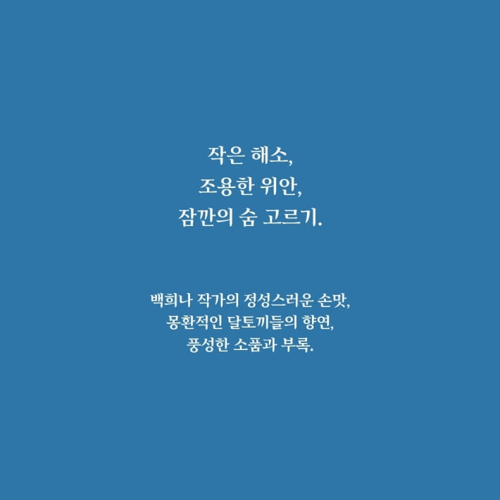 카드뉴스7
