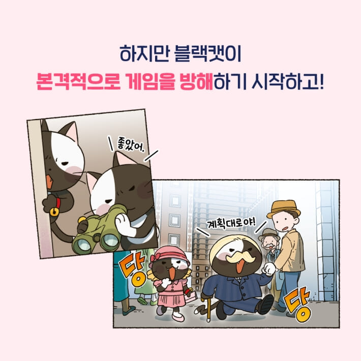 카드뉴스4