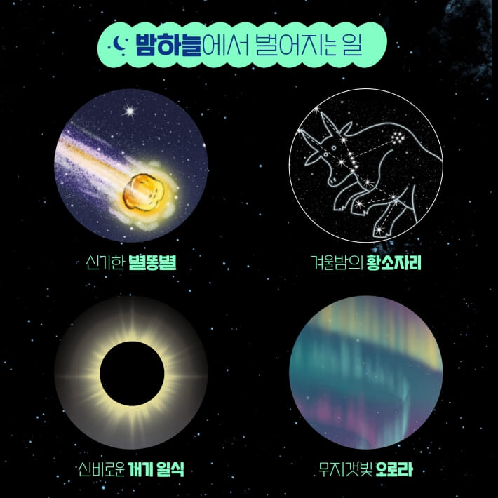카드뉴스3
