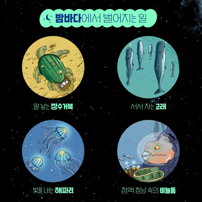 카드뉴스4