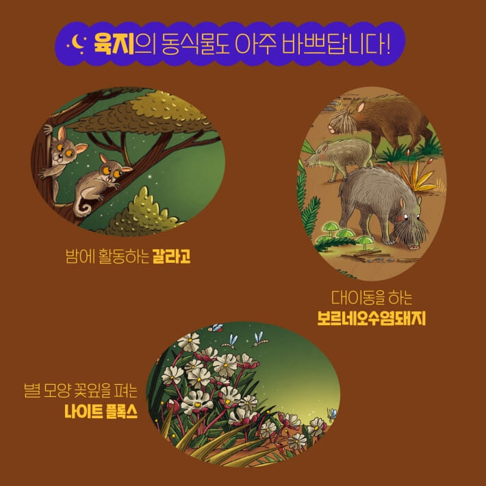 카드뉴스5