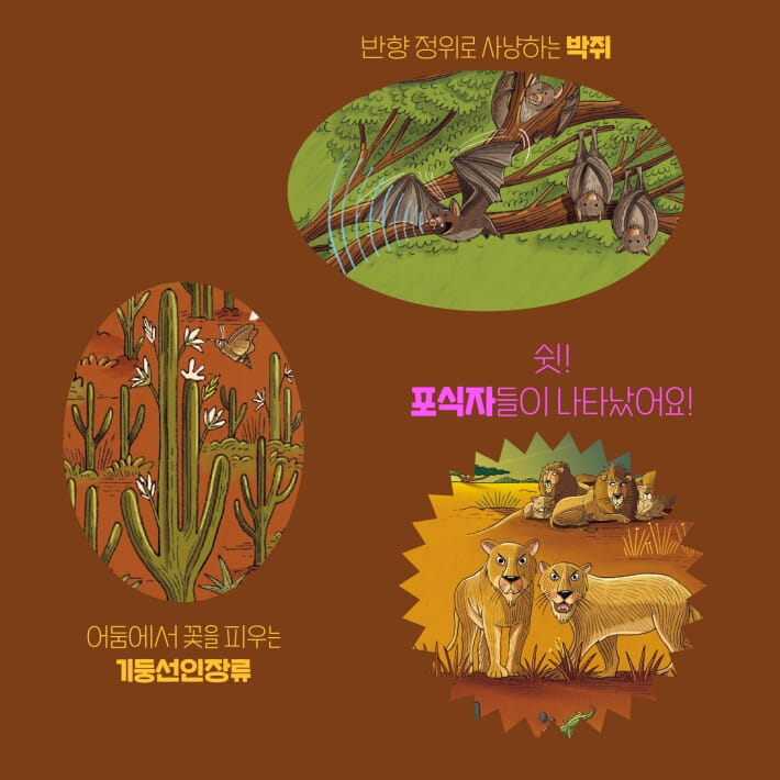 카드뉴스6