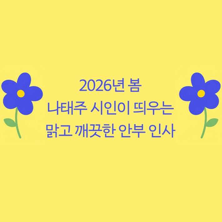 카드뉴스2