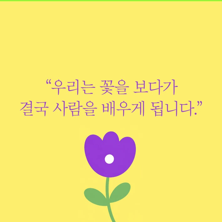 카드뉴스3