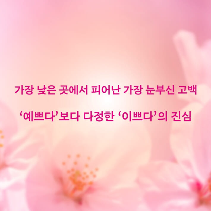 카드뉴스5