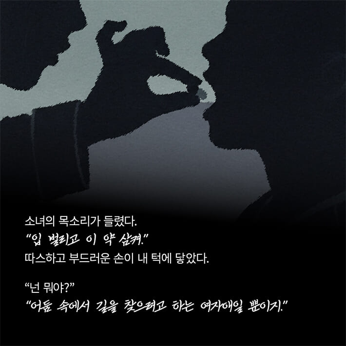 카드뉴스5