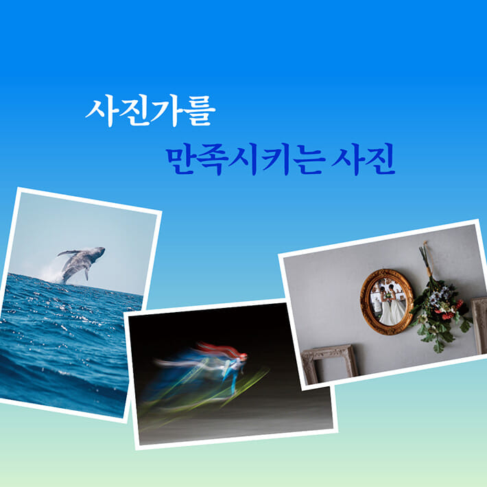 카드뉴스6