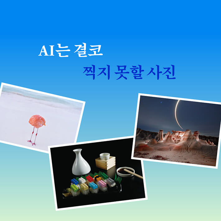 카드뉴스7