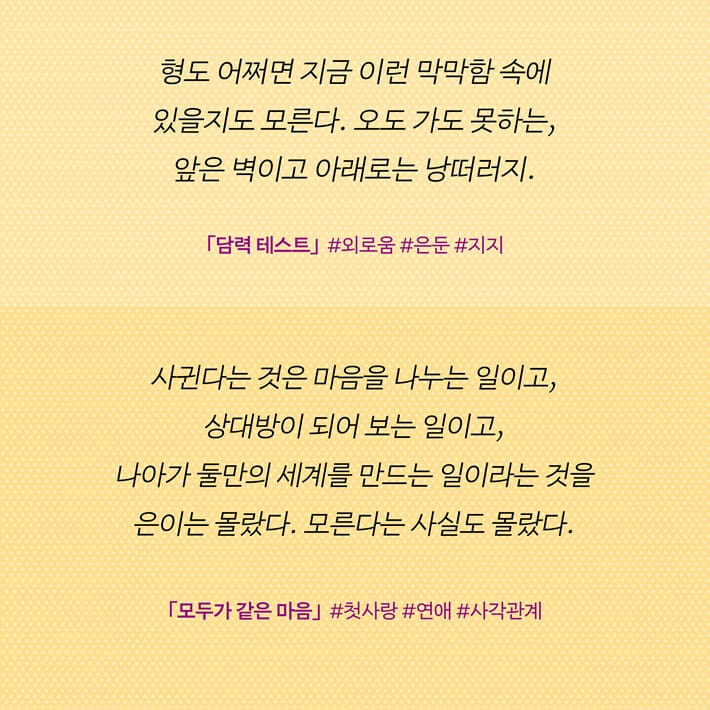 카드뉴스5
