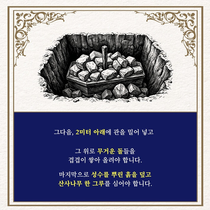 카드뉴스6