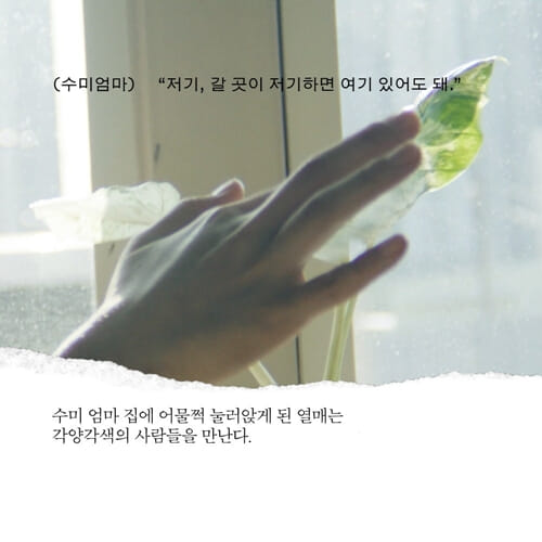 카드뉴스3