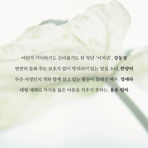 카드뉴스4