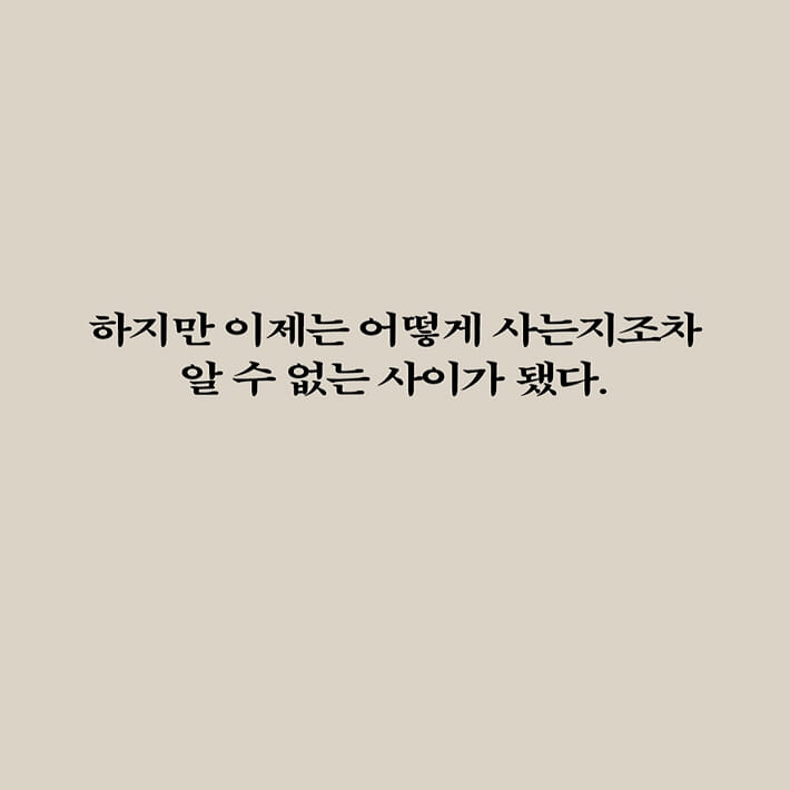 카드뉴스3