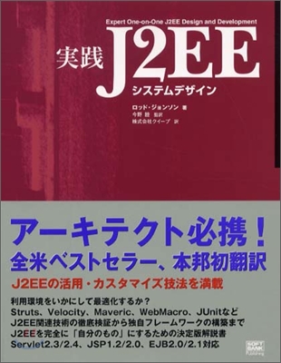 實踐 J2EEシステムデザイン