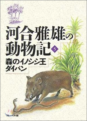 河合雅雄の動物記(5)森のイノシシ王ダイバン