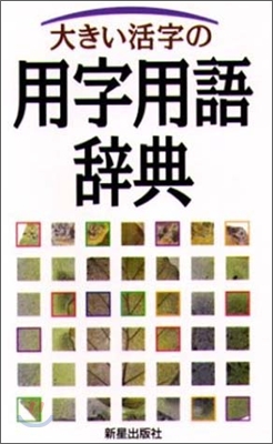 大きい活字の用字用語辭典