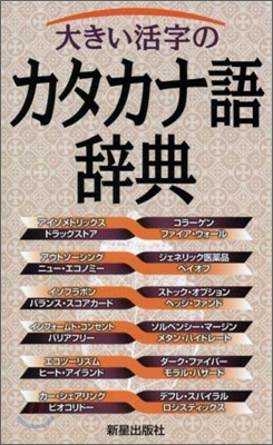 大きい活字のカタカナ語辭典