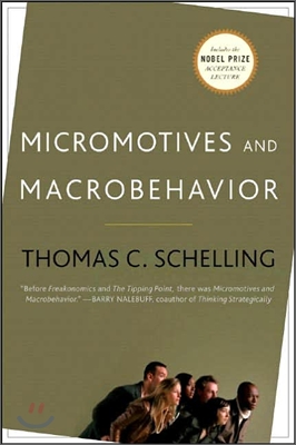 Micromotives and Macrobehavior (Paperback)